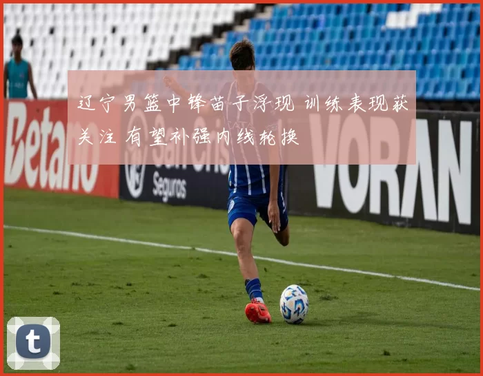 辽宁男篮中锋苗子浮现 训练表现获关注 有望补强内线轮换