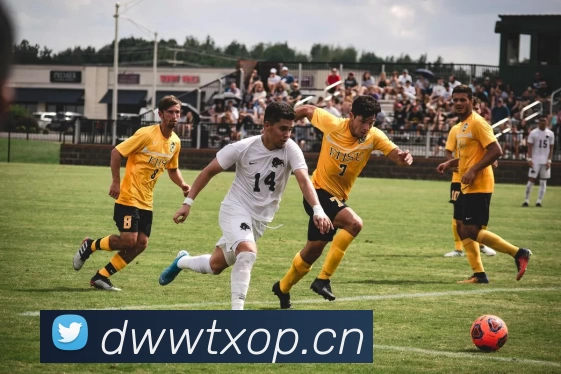 爱游戏ayx官网登录服务体系