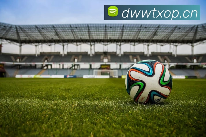 爱游戏ayx官网登录APP 体育赛事宣传图